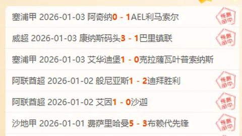 水晶宫对埃梅里战术信心满满，期待进球突破对手