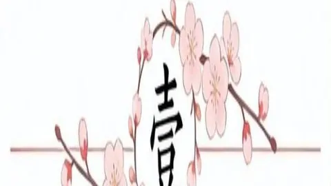 韦德体育 153538 1